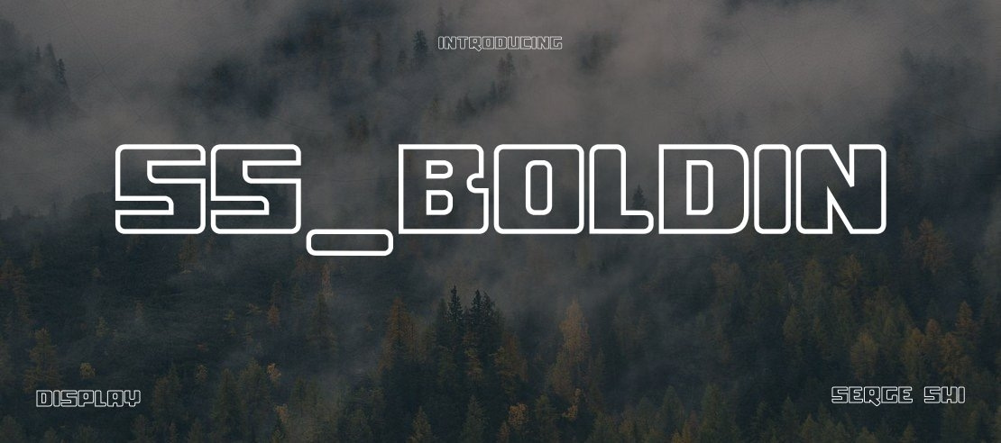 ss_boldin Font Family