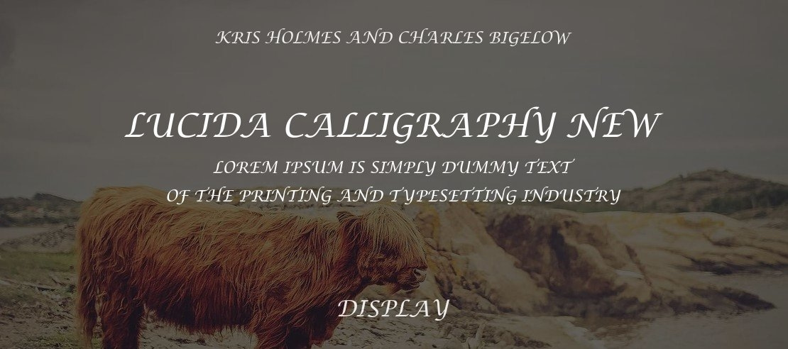 Lucida Calligraphy New Font Family