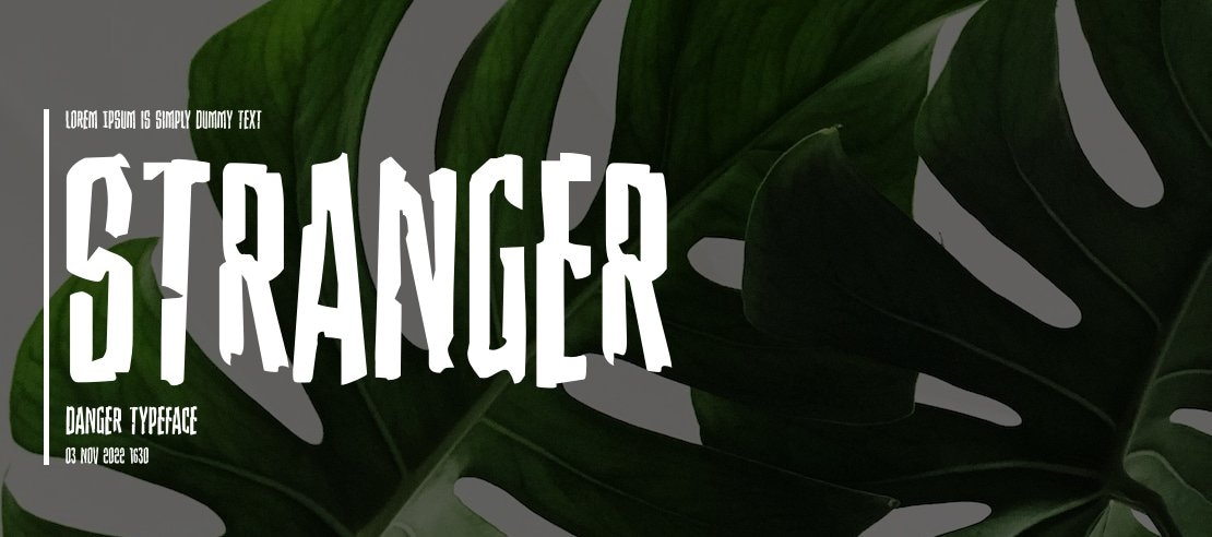 Stranger Danger Font Family