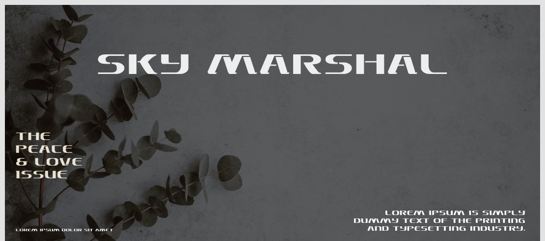 Sky Marshal Font Family