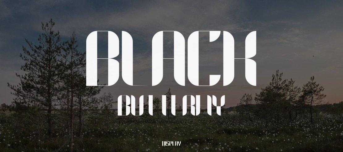 Black Butterfly Font