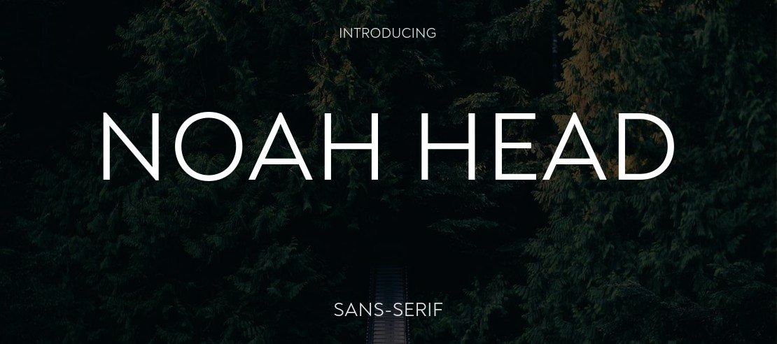 Noah Head Font Family