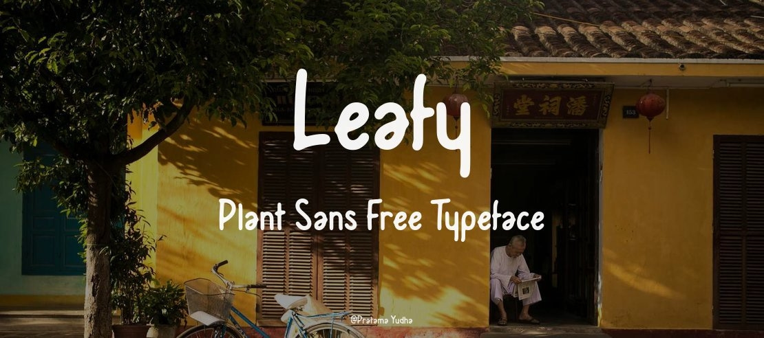 Leafy Plant Sans Free Font