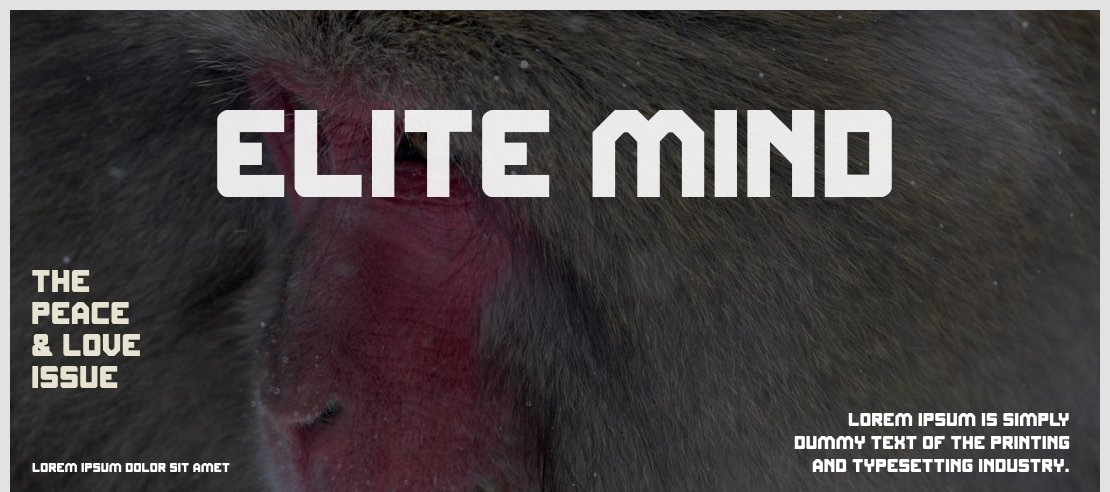 ELITE MIND Font Family