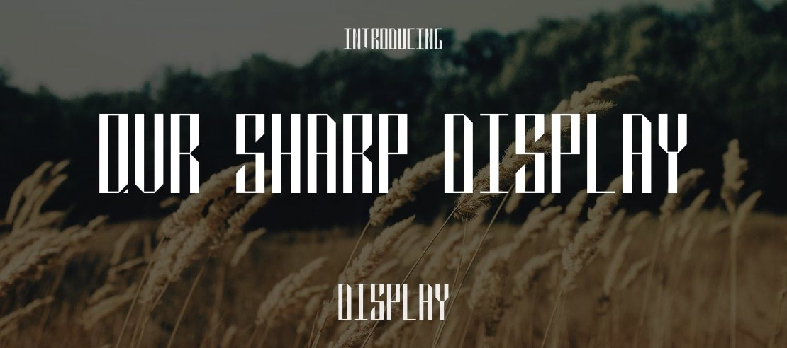 QVR Sharp Display Font Family