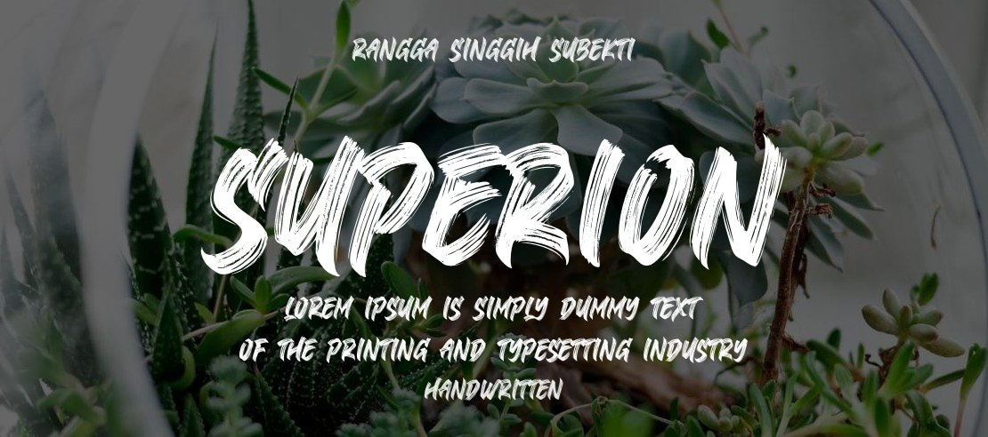 Superion Font