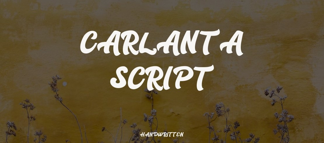 Carlanta  Script Font Family