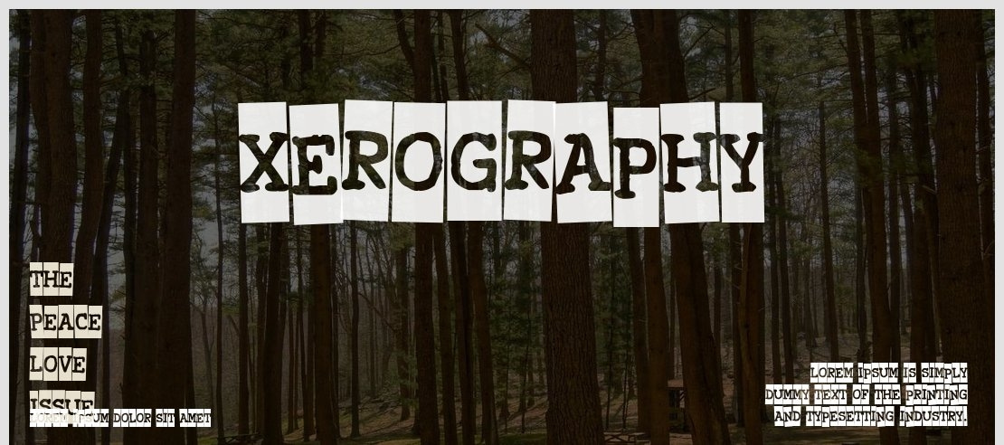 Xerography Font