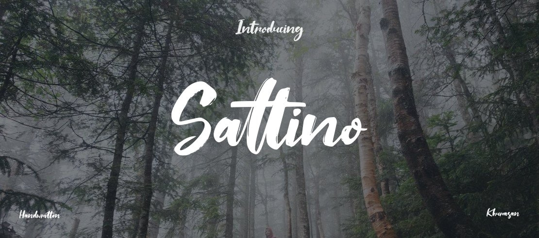 Saltino Font