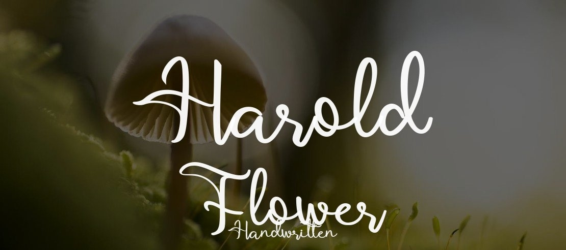 Harold Flower Font