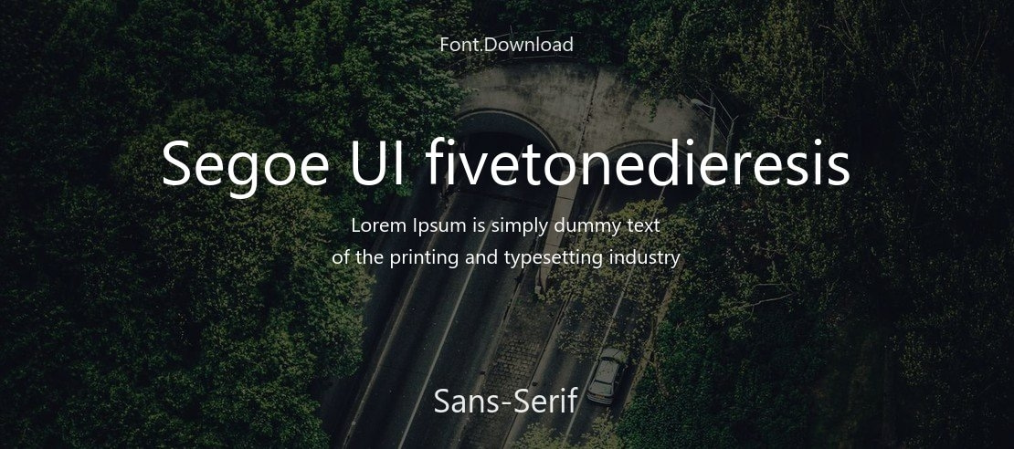 Segoe UI fivetonedieresis Font