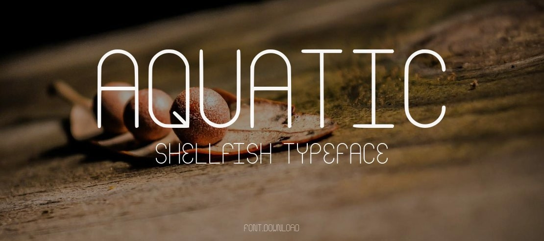 Aquatic Shellfish Font