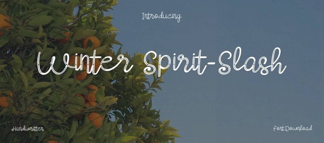 Winter Spirit-Slash Font