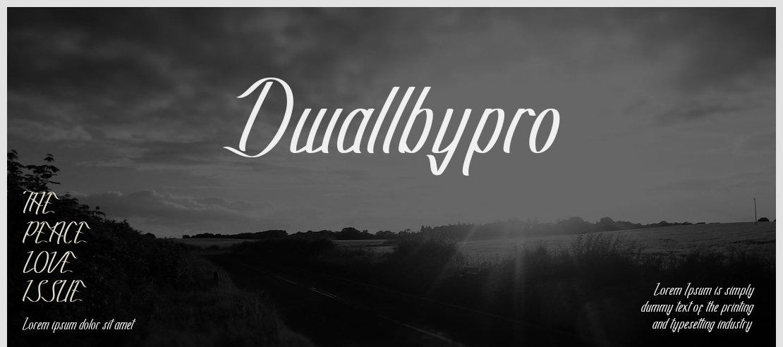 Dwallbypro Font