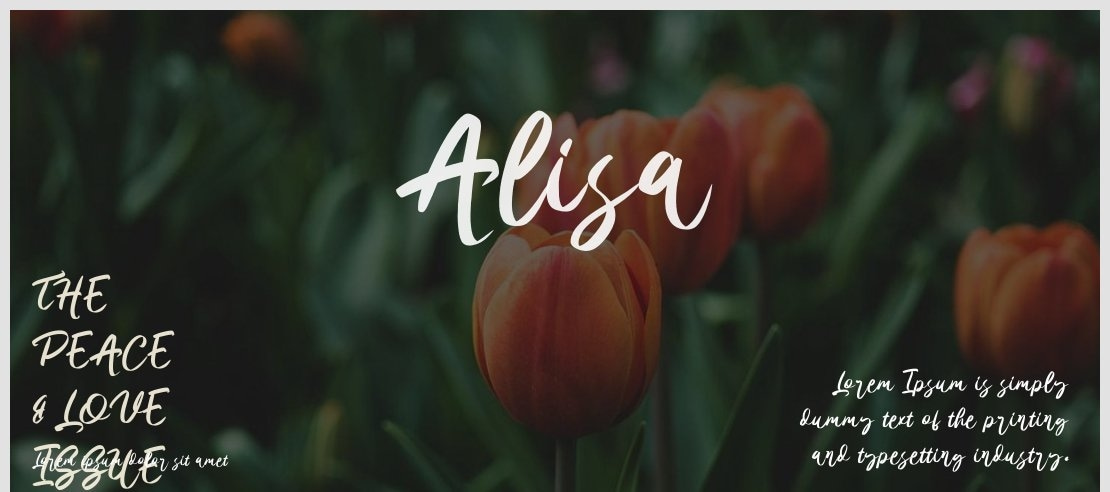 Alisa Font Family