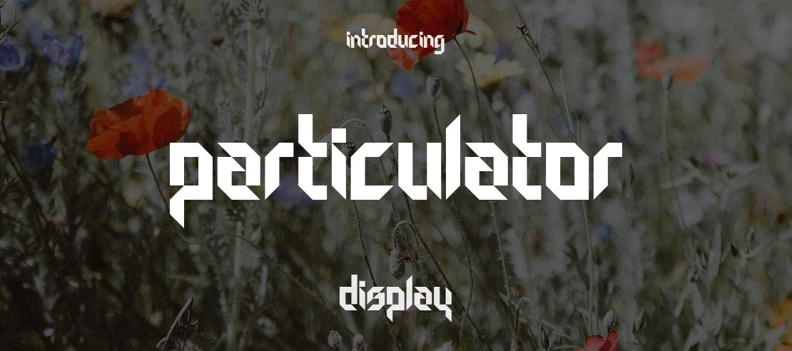 Particulator Font