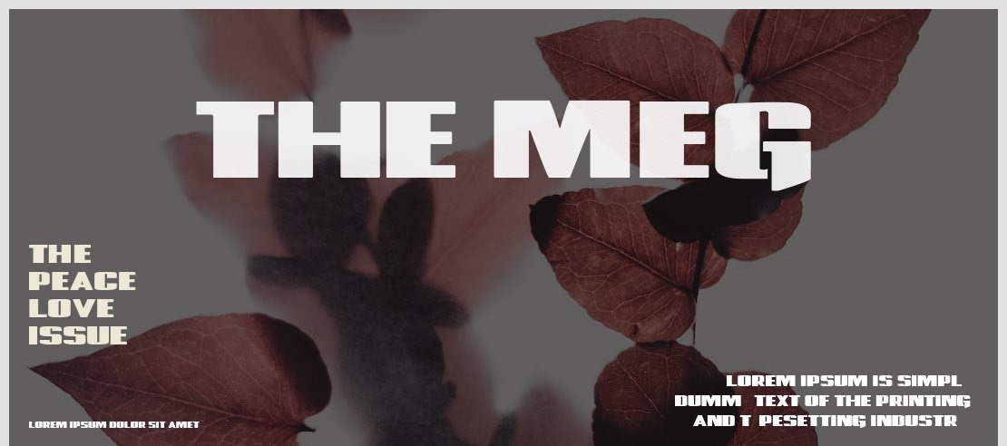 The Meg Font