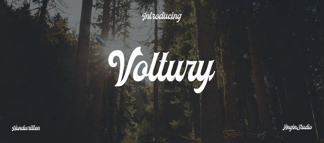 Voltury Font