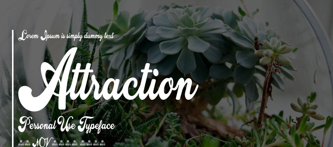 Attraction Personal Use Font