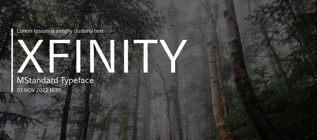 XFINITY MStandard Font Family