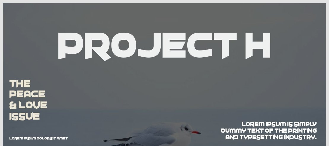 Project H Font