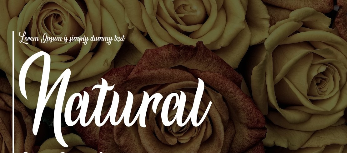 Natural Beauty Personal Use Font