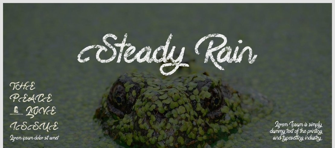 Steady Rain Font