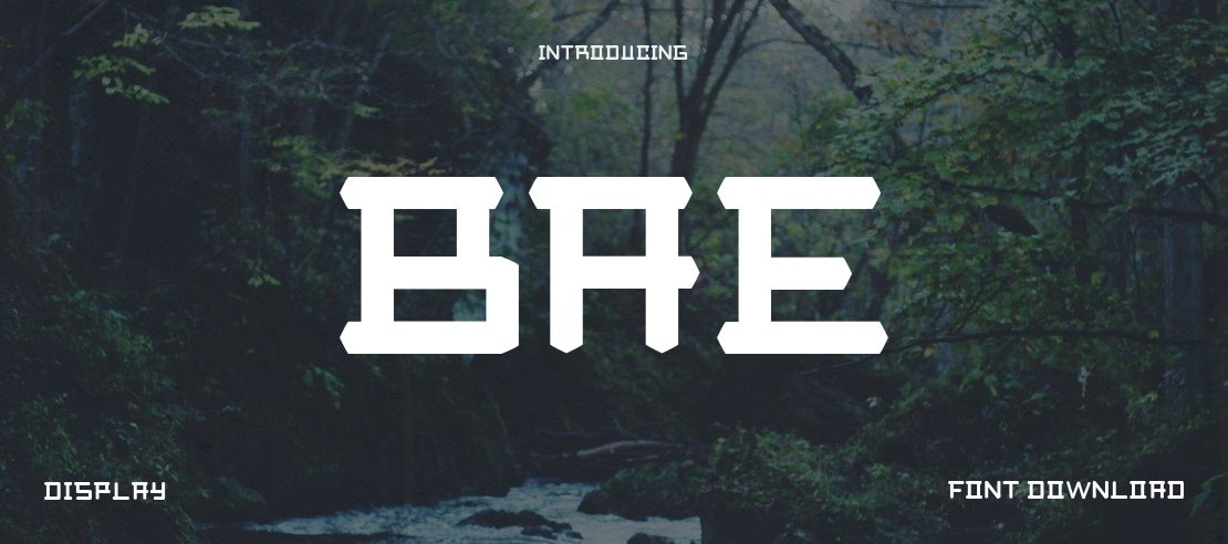 Bae Font