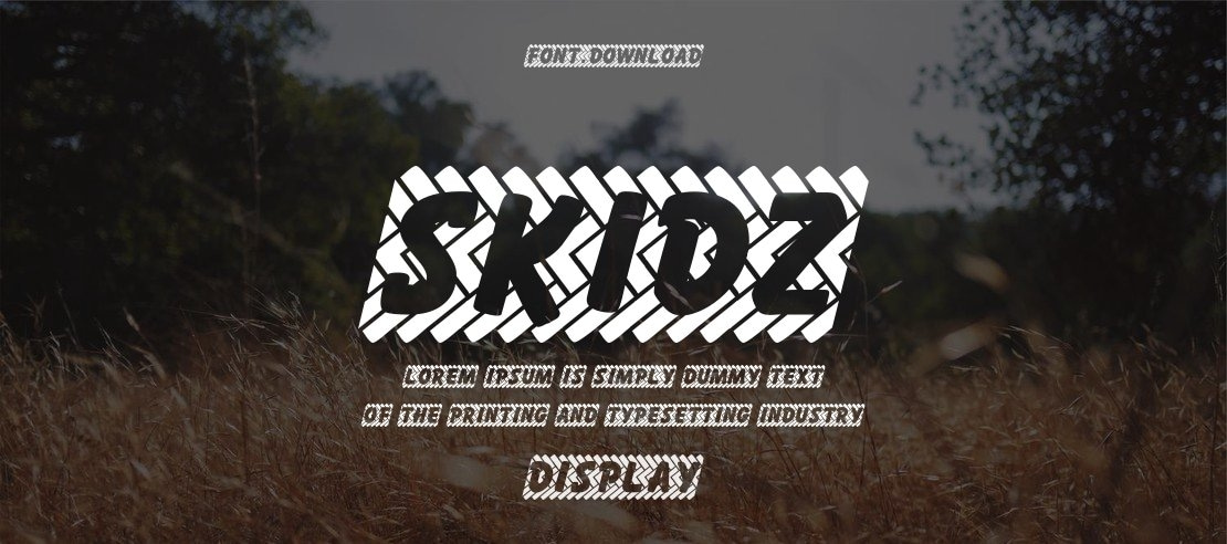 Skidz Font Family