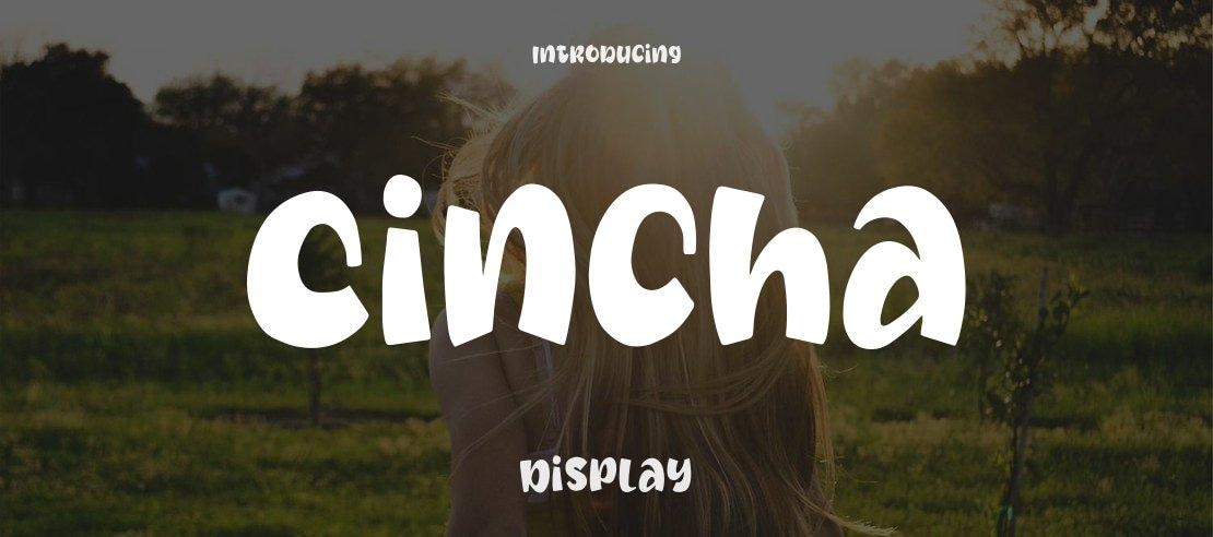 Cincha Font