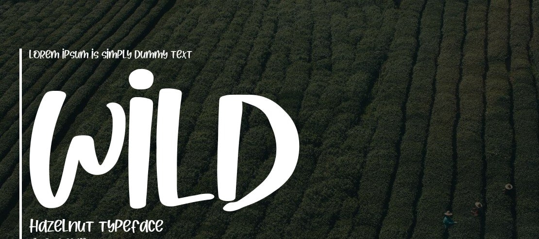 Wild Hazelnut Font