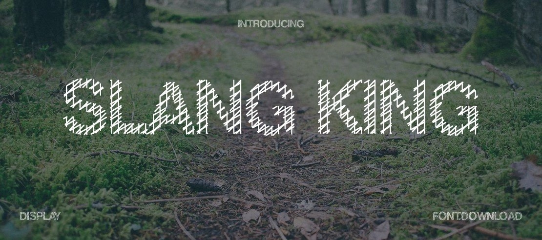 Slang King Font