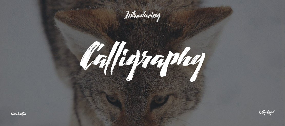 Calligraphy Font Family
