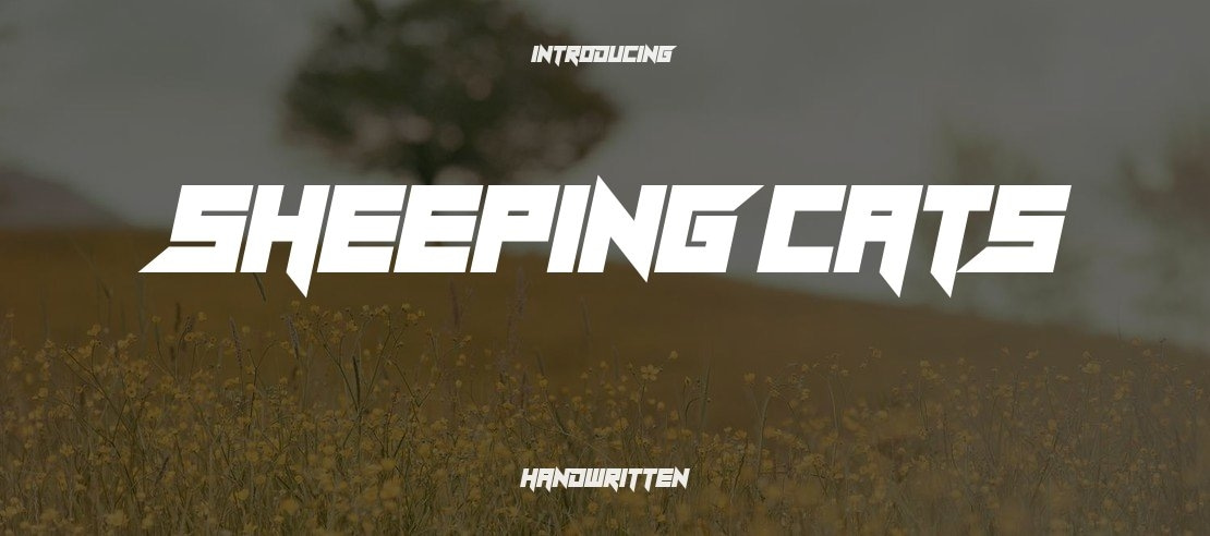 Sheeping Cats Font Family