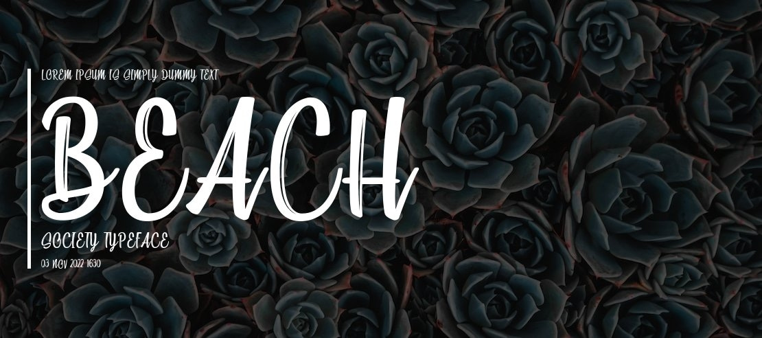 Beach Society Font Family