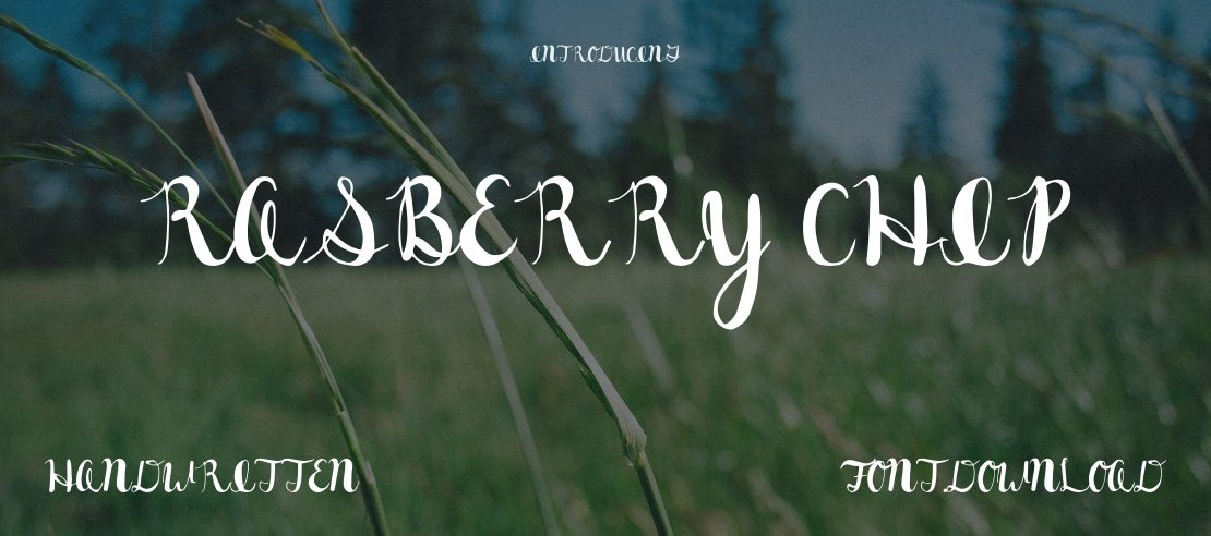 Rasberry Chip Font