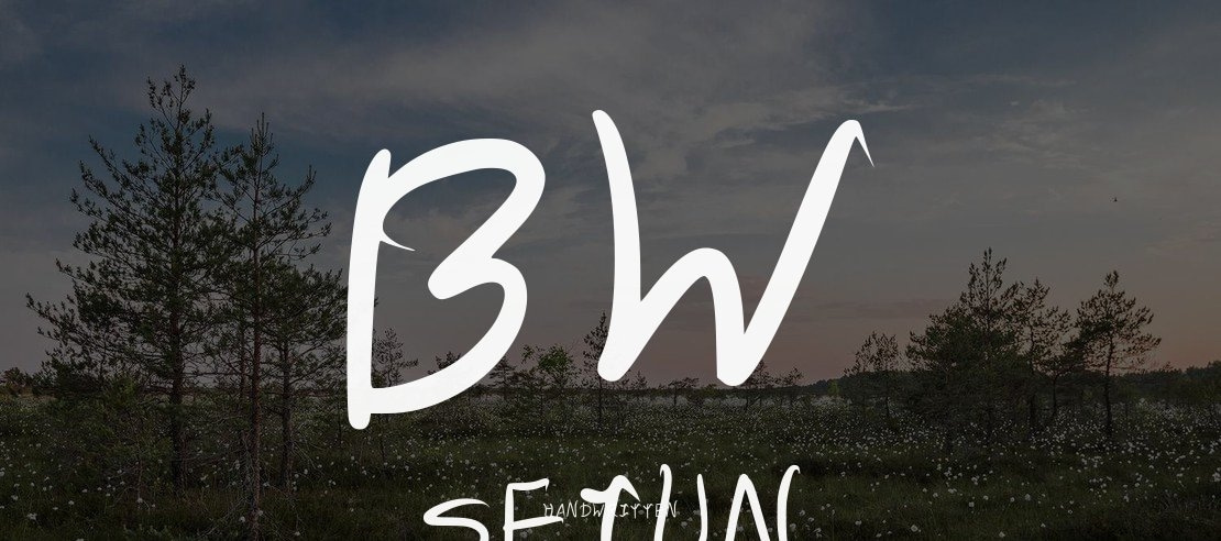 BW Seiun Font