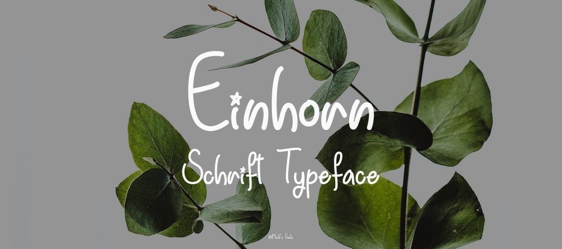 Einhorn Schrift Font Family