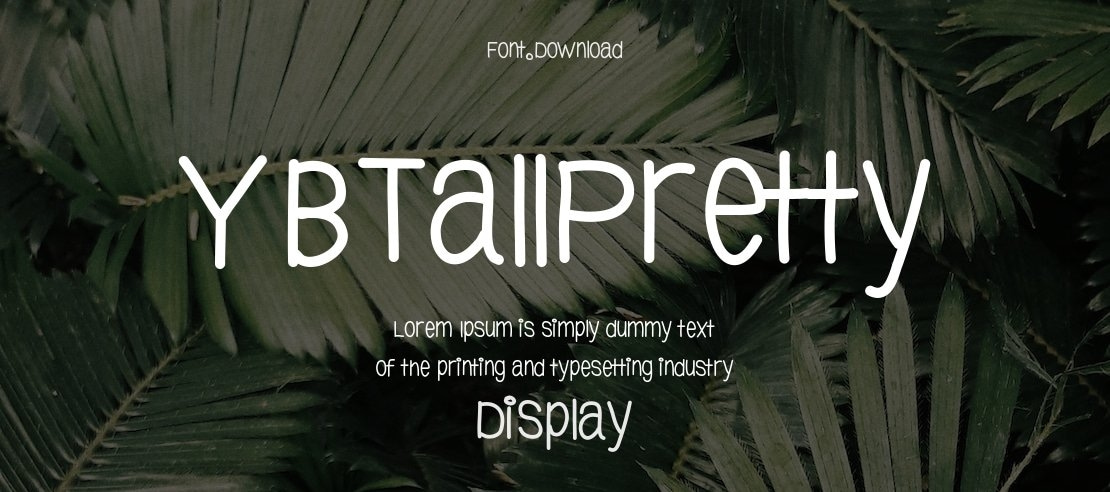 YBTallPretty Font