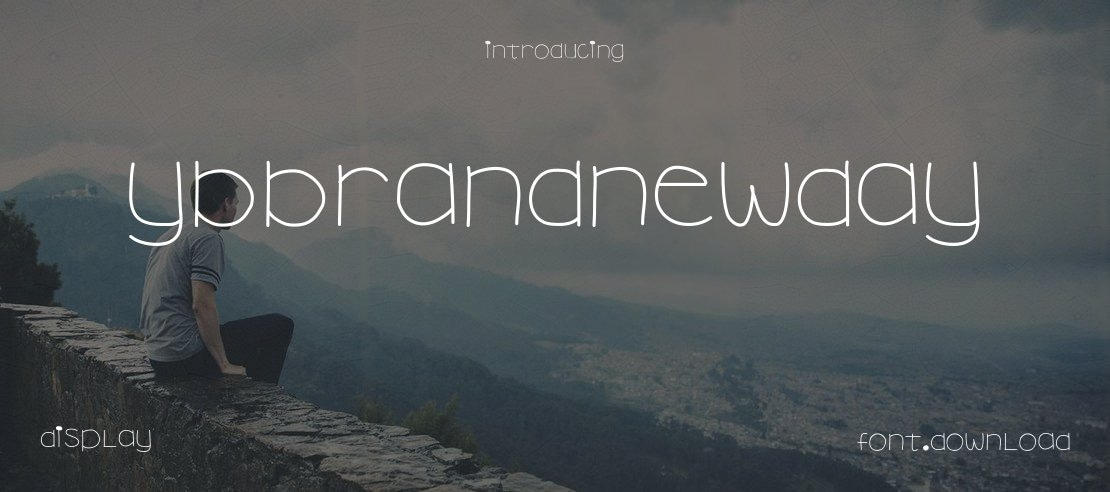 YBBrandNewDay Font