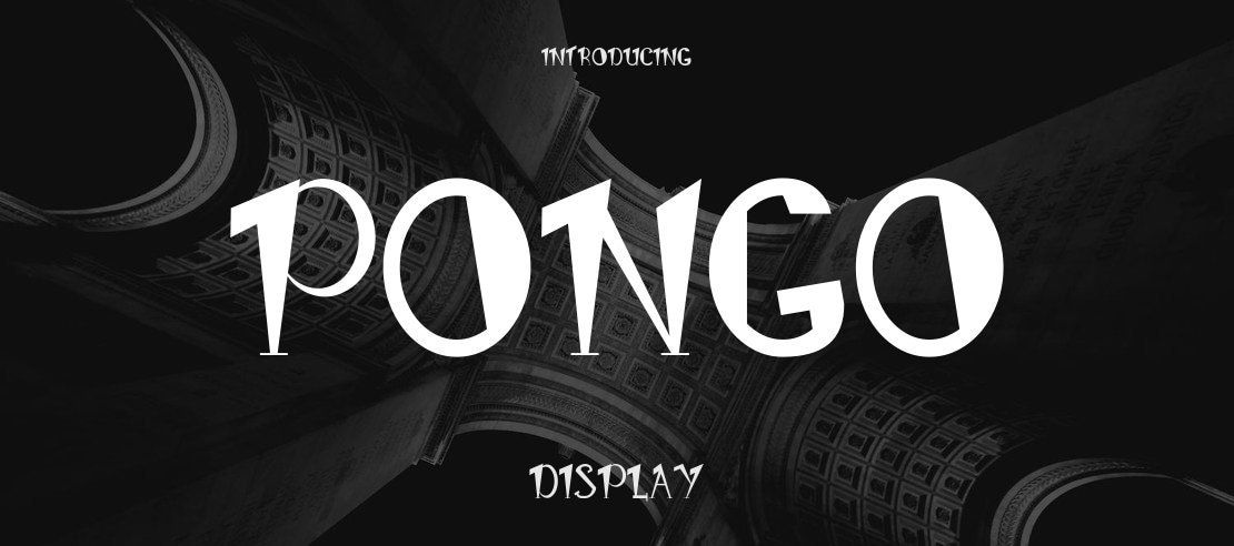 Pongo Font