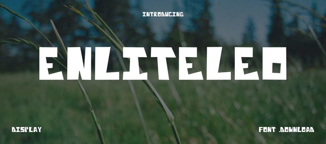 Enliteleo Font