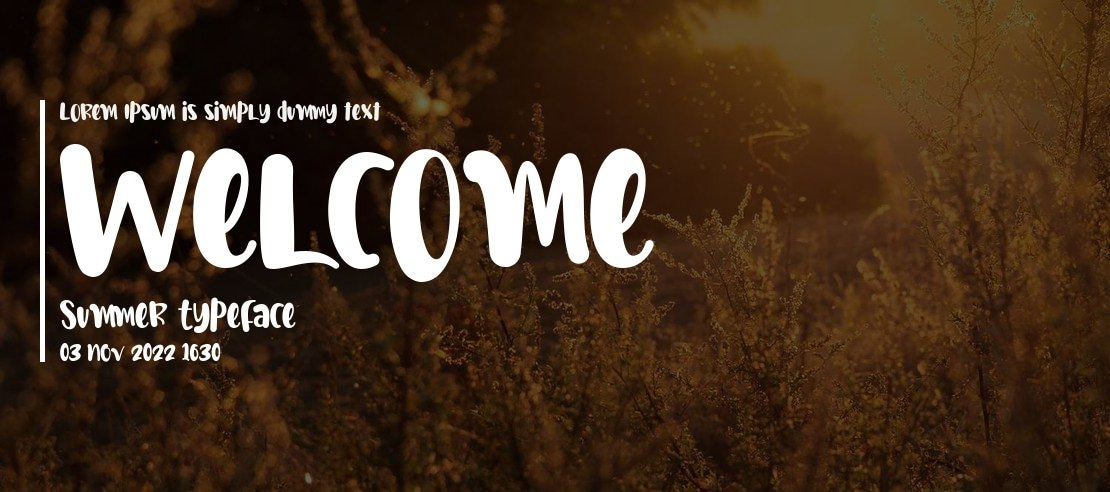 Welcome Summer Font