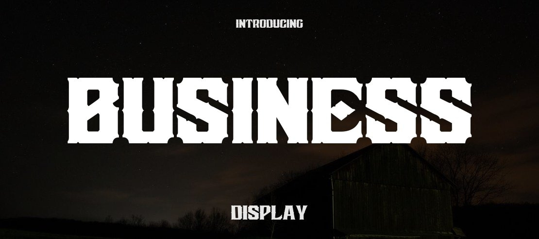 Business Font
