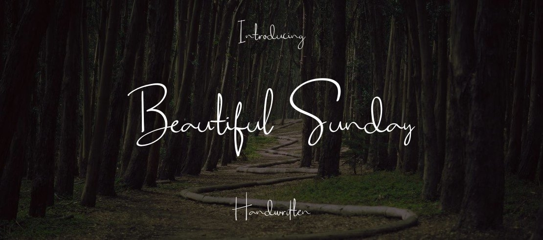Beautiful Sunday Font