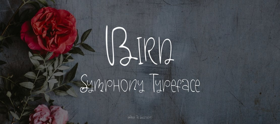 Bird Symphony Font