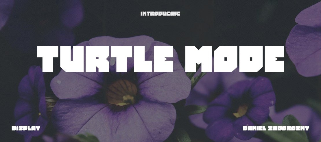 Turtle Mode Font Family