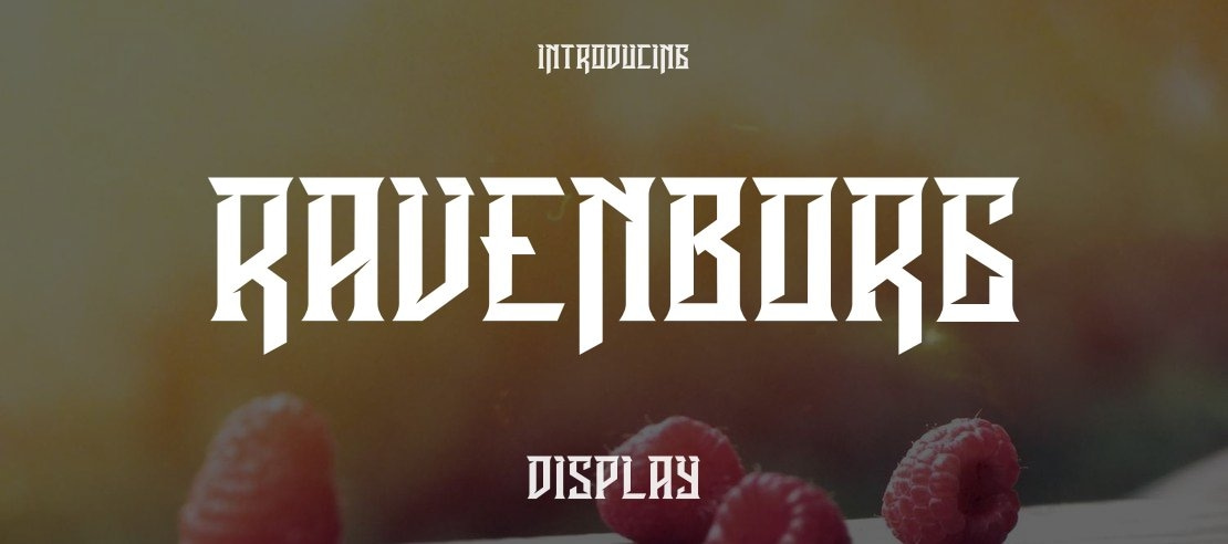 Ravenborg Font Family