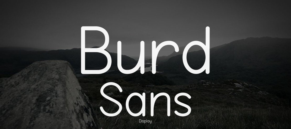 Burd Sans Font Family