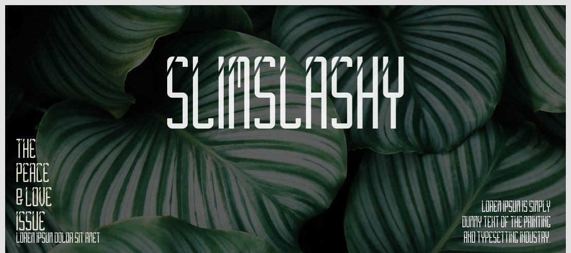 SlimSlashy Font